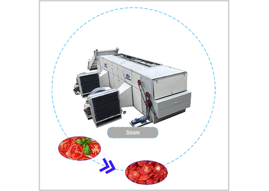 tomato  dryer/drying machine